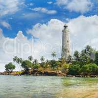 lighthouse, lagoon and tropical palms (Matara Sri Lanka)