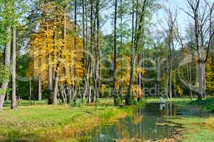 Scenic autumn landscape: park and ornamental lake