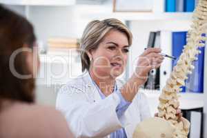Doctor explaining anatomical spine to patient