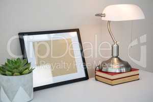 Picture frame, books, table lamp and potted plant on table