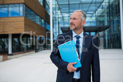 Businessman carrying an official file