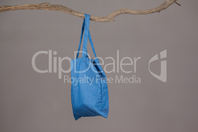 Blue bag hanging on a tree branch