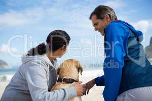 Smiling couple with their pet dog