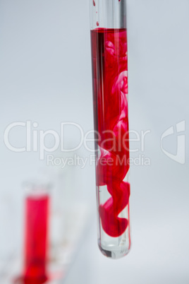 Blood sample on test tubes