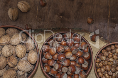 Hazelnut peeled and in shell, walnuts in shell