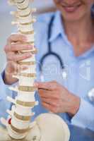 Female doctor holding spine model