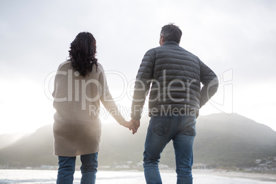 Rear view of couple holding hands on beach