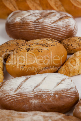 Various bread loaves