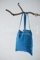 Blue bag hanging on a tree branch