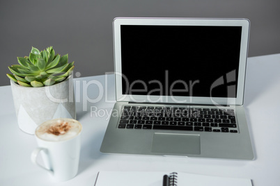 Laptop with cup of coffee and pot plant