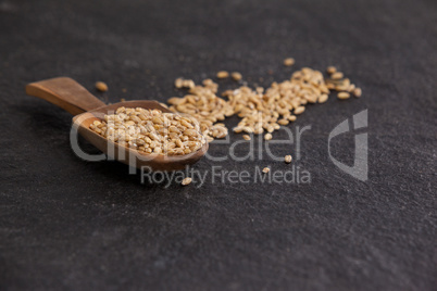 Scoop of wheat grains