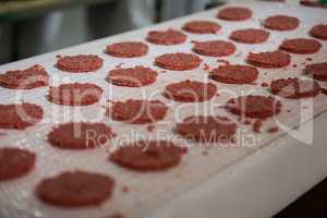 Raw meat patties on assembly line at meat factor