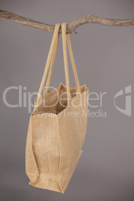 Beige bag hanging on a tree branch