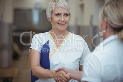 Two nurse shaking hands in corridor