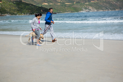 Couple jogging with pet dog