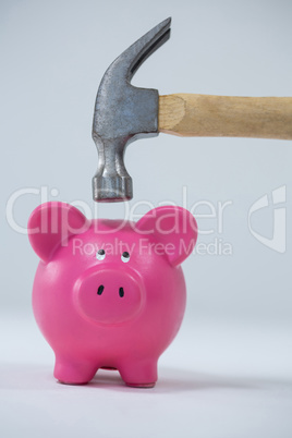 Piggy bank about to be smashed by hammer