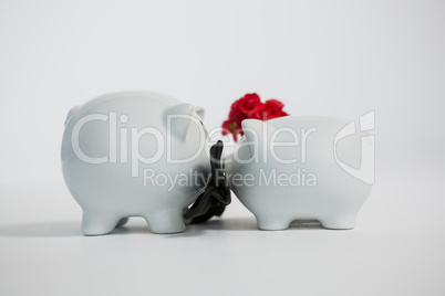 Two piggy bank kissing each other