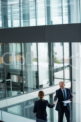 Businessman shaking hands with his colleague