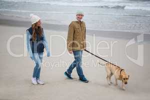 Couple walking with pet dog