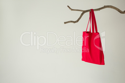 Red bag hanging on a tree branch