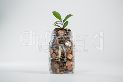 Plant growing in savings coins