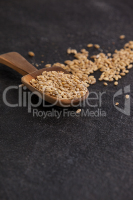 Scoop of wheat grains