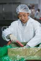 Female butcher processing sausages