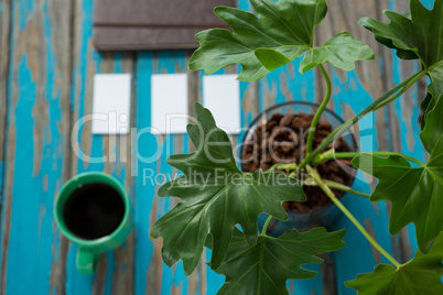 Coffee and pot plant on wooden table