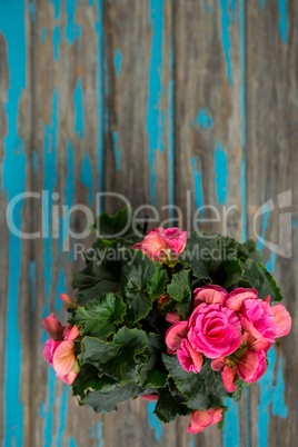 Bunch of flowers on wooden table