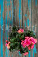 Bunch of flowers on wooden table