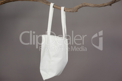 White bag hanging on a tree branch