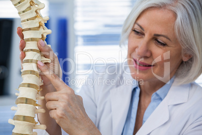 Female doctor holding spine model