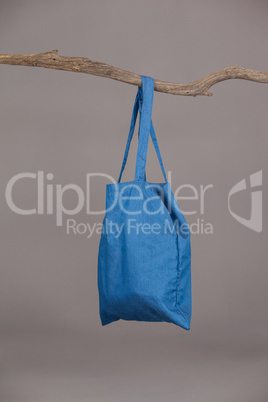 Blue bag hanging on a tree branch
