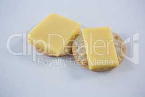 Cheese with crackers on white background
