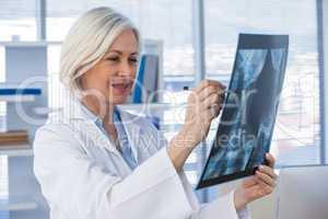 Female doctor examining x-ray report