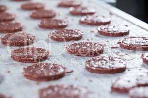 Raw meat patties on assembly line