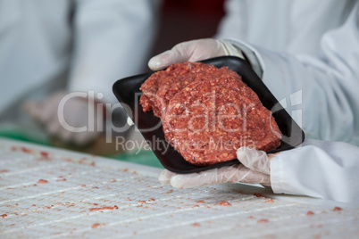 Butcher holding raw meat patties arranged in tray