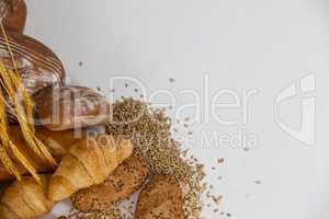 Various bread loaves with wheat grains