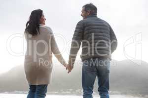 Rear view of couple holding hands on beach