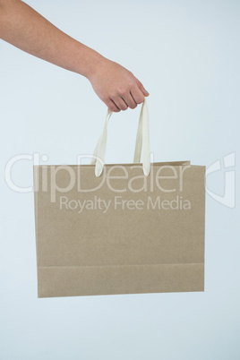 Hand of a woman holding shopping bag