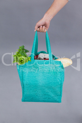 Hand of a woman holding grocery bag