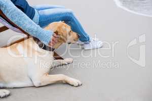 Woman pampering dog while sitting on chair