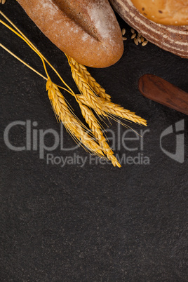 Various bread loaves with wheat grains