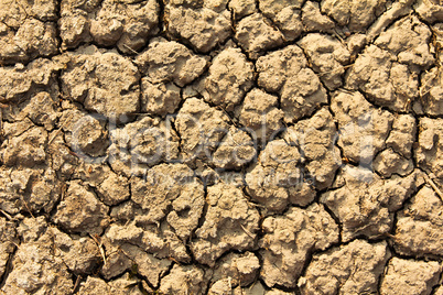Cracked by the heat long lifeless soil