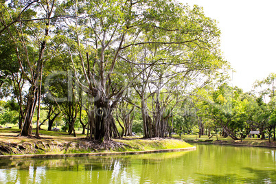 Beautiful scenic in the park.