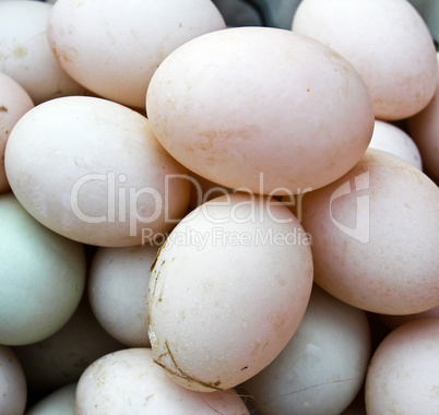 Many Duck eggs on a market