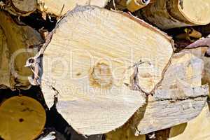 End of birch logs