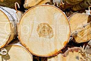 End of round birch logs