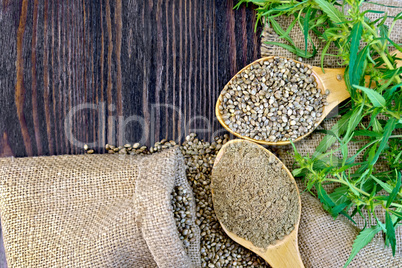 Flour hemp with grain in wooden spoons on board