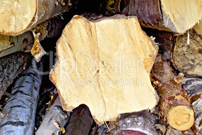 Logs birch